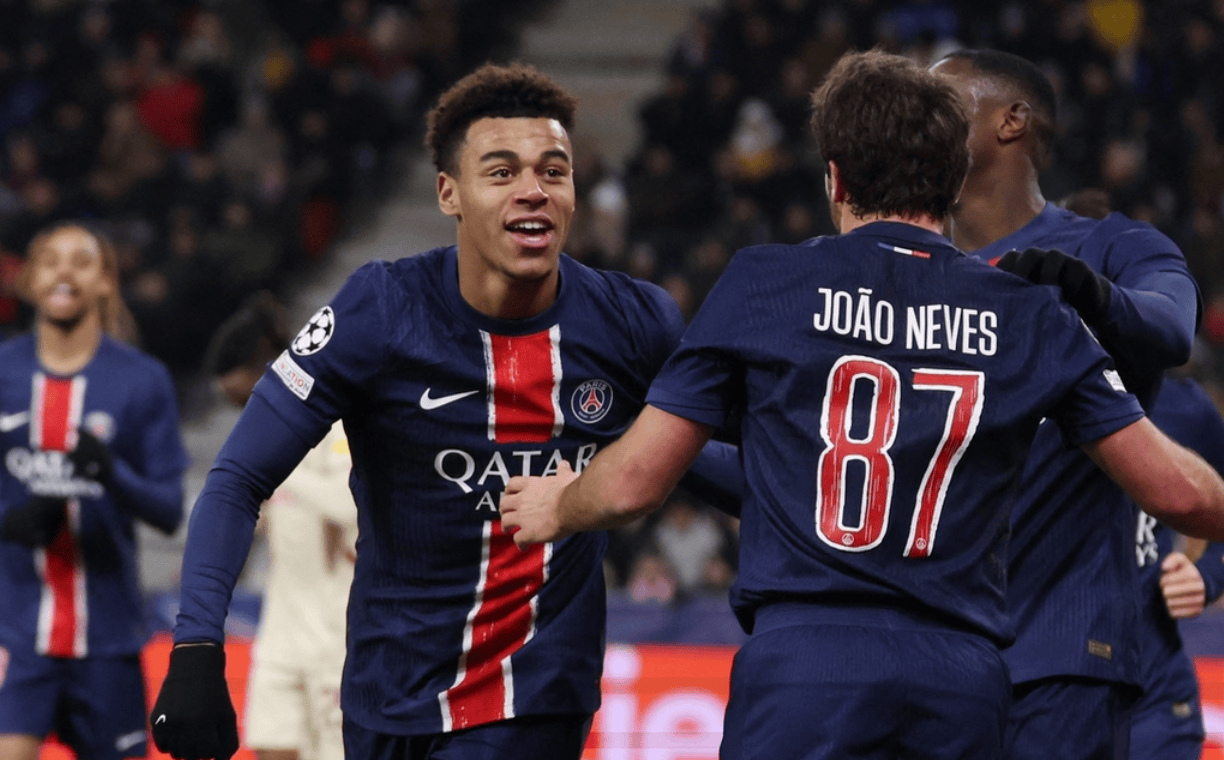 红树林的健 红树林的健