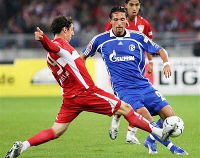 种在门前冷 种在门前冷