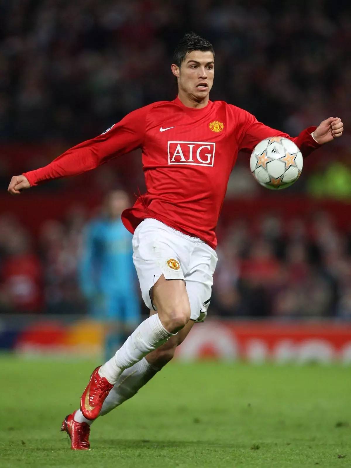 以从中吸取 以从中吸取