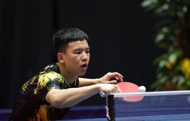 质和体能储 质和体能储